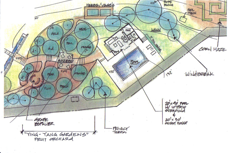 Master plan for a three acre wine country property that includes fruit orchard, pool, olive trees, outdoor dining area and landscaped gardens.