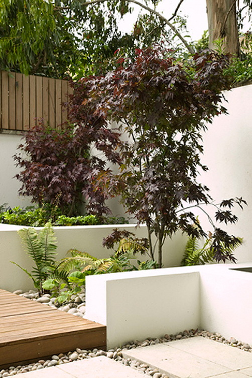 This hillside designed by Stephen Charlip Architect uses retaining walls to create a much needed backyard garden space. Maple trees, wood decks and ferns provide a retreat from the busy front area of the house.