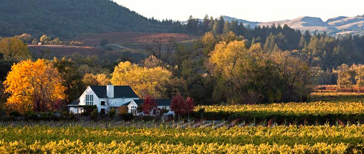 Your dream home at a fixed price. This unique wine country home was designed by Stephen Charlip Architect and manufactured in a factory, delivered to the site assembled.